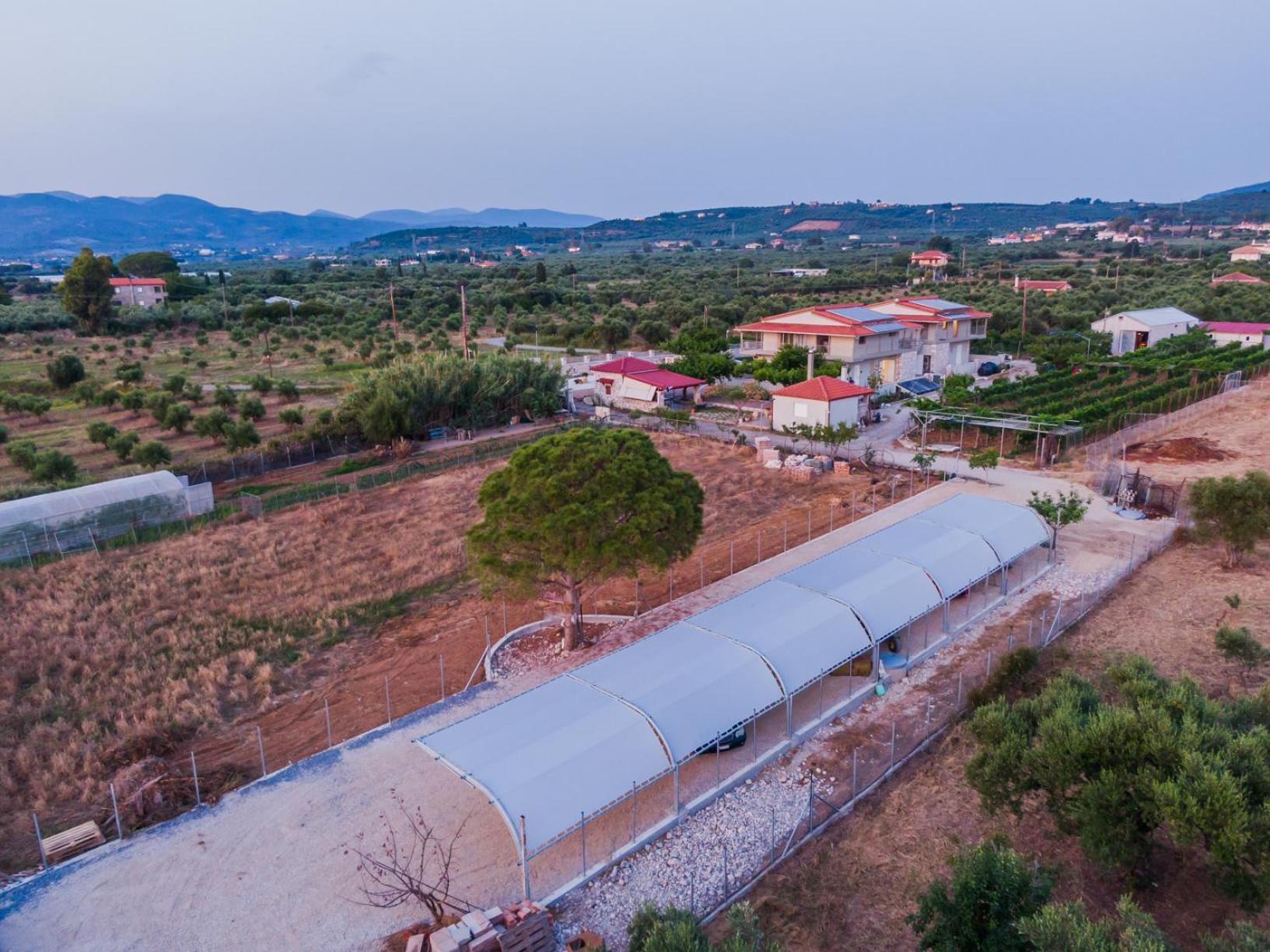 Terra Helios Suites & Studios Kyparissia Exteriör bild