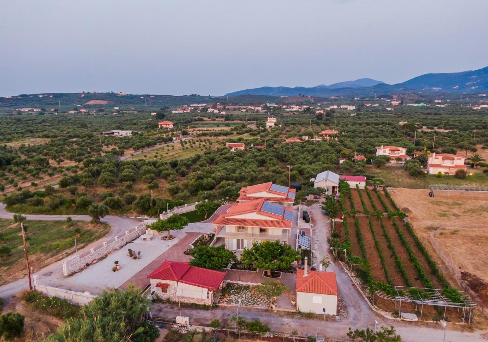 Terra Helios Suites & Studios Kyparissia Exteriör bild